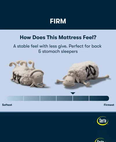 Serta Perfect Sleeper Cobra Lily 10.5 Plush Tight Top Mattress Collection In Transparent