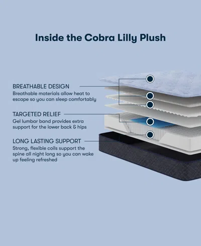 Serta Perfect Sleeper Cobra Lily 10.5" Plush Tight Top Mattress Set, Queen In Blue