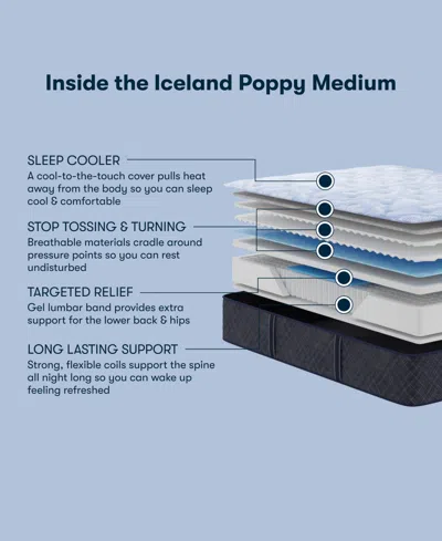 Serta Perfect Sleeper Iceland Poppy 13.5" Medium Tight Top Mattress Set, Queen Split In Transparent