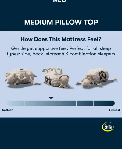 Serta Perfect Sleeper Osiria Rose 14" Medium Pillow Top Mattress Set, Twin Xl In Blue