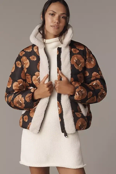 Save The Duck Faux-shearling Puffer Jacket In Multi