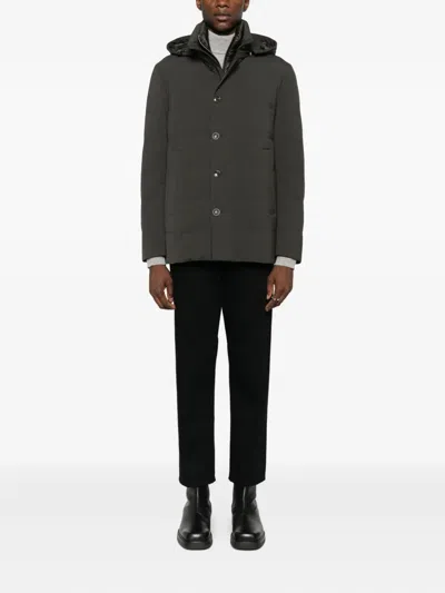 Montecore Hooded Jacket In Green