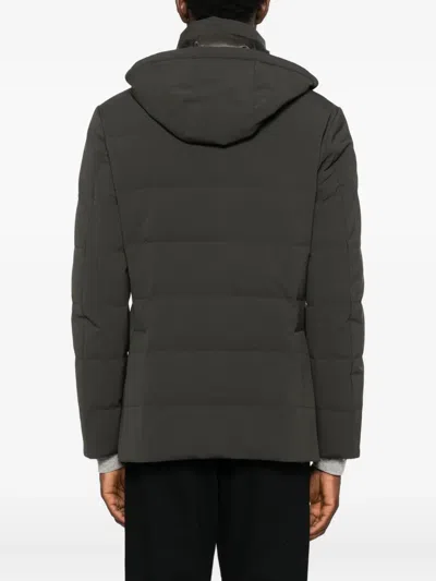 Montecore Hooded Jacket In Green