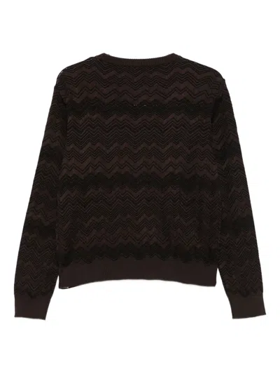 Missoni Chevron Pattern Long Sleeve Crew Neck Knit In Brown