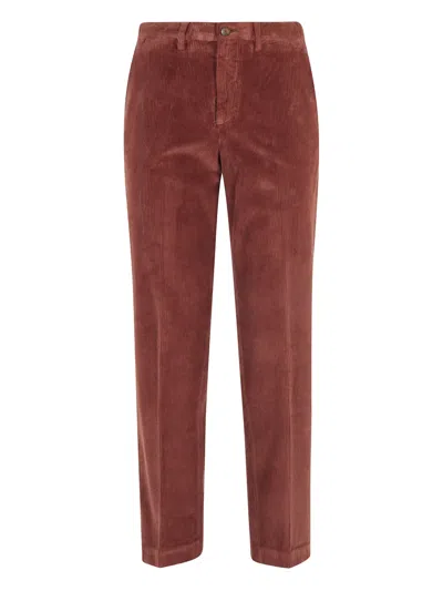 Briglia 1949 Pantalone In Brown