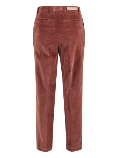 Briglia 1949 Pantalone In Brown
