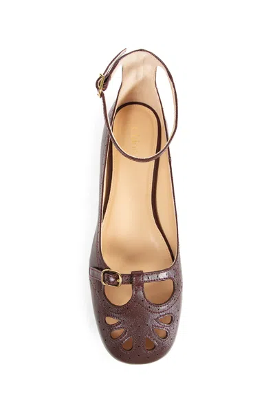 Chloé Flat Shoe With Burnished Look Made In Italy In Brown