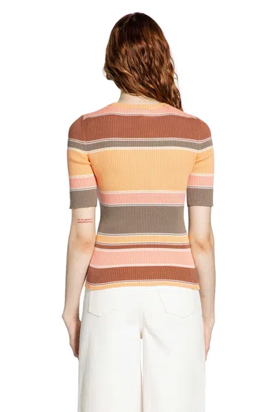 Chloé Embroidered Striped Ribbed Cotton Sweater In Multi
