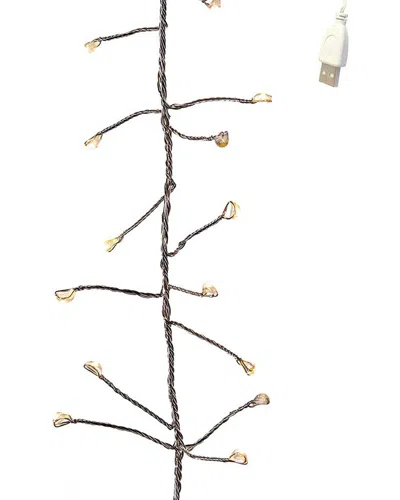 Kurt Adler 240-light 8-feet Warm Led Twinkle Cluster Fairy String Lights In Brown