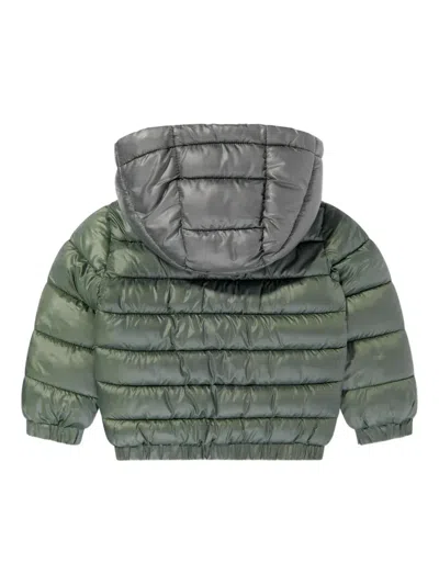 Guess Hooded Puffer Jacket In Green