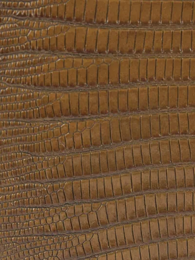 Roberto Cavalli Chain Strap Shoulder Bag With Snake Handle In Brown