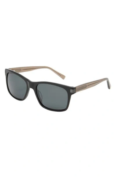 Ted Baker London 56mm Polarized Square Sunglasses In Brown