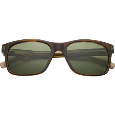 Ted Baker London 56mm Full Rim Square Polarized Sunglasses In Brown