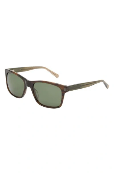 Ted Baker London 56mm Full Rim Square Polarized Sunglasses In Brown
