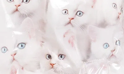 Diesel ® W-inner-r1 Kitten Print Coated Nylon Hooded Puffer Jacket In White