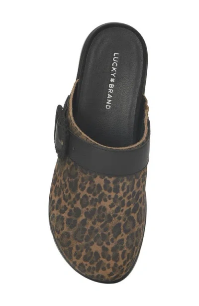 Lucky Brand Women's Sachie Buckled Slip-on Clogs In Animal Print