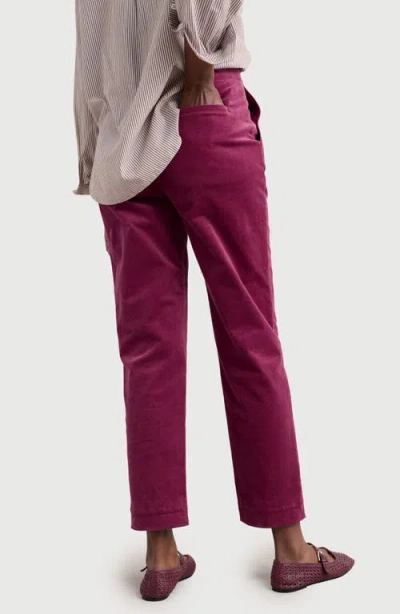 Seasalt Cornwall Crackington Sailor Button Crop Pull-on Pant In Brown