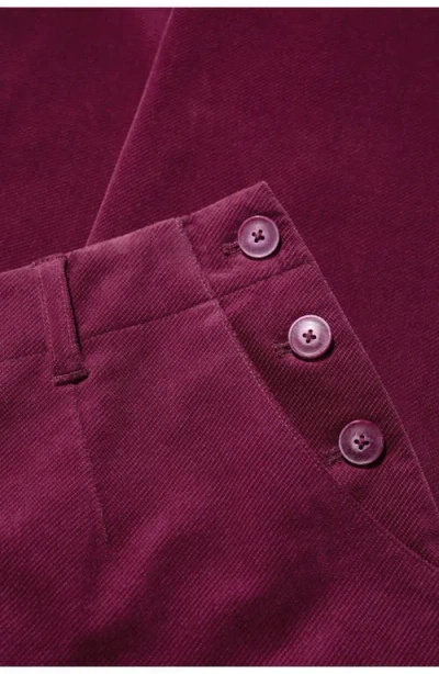 Seasalt Cornwall Crackington Sailor Button Crop Pull-on Pant In Brown