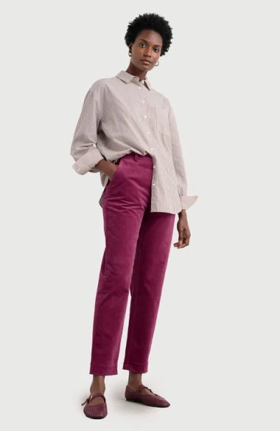 Seasalt Cornwall Crackington Sailor Button Crop Pull-on Pant In Brown