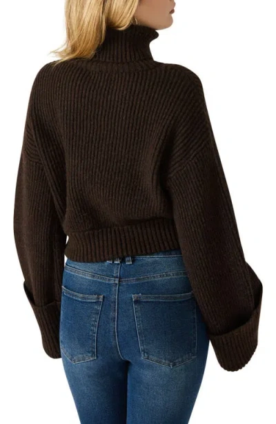 Steve Madden Adelade Turtleneck Sweater In Brown