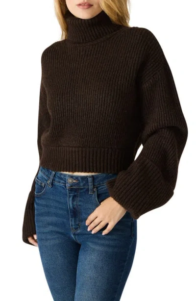 Steve Madden Adelade Turtleneck Sweater In Brown