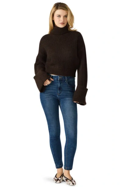 Steve Madden Adelade Turtleneck Sweater In Brown