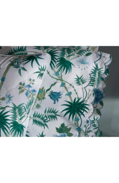 Matouk Palmyra Cotton Percale Sham In Green