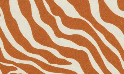 Matouk Regine Set Of 4 Linen Zebra Stripe Linen Napkins In Brown