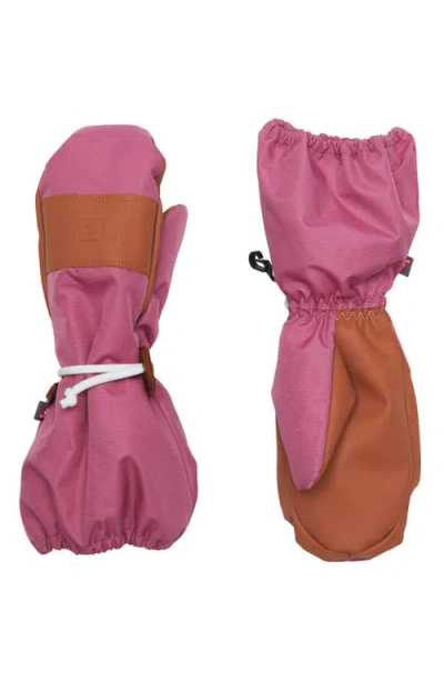 Northern Classics Waterproof Ski Mittens In Pink