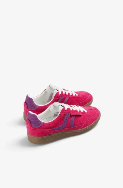 Scalpers Numico Sneakers W In Pink