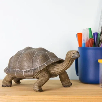 Safari Ltd. Tortoise Toy In Transparent