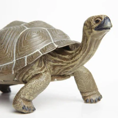 Safari Ltd. Tortoise Toy In Transparent