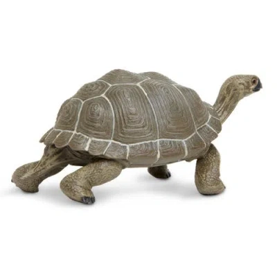 Safari Ltd. Tortoise Toy In Transparent