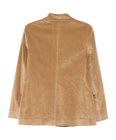 Antonelli Double-breasted Long Sleeve Suit Jacket In Brown