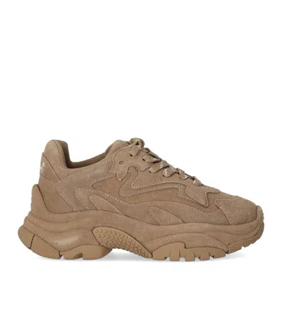 Ash Addict Sneakers In Beige Suede In Brown