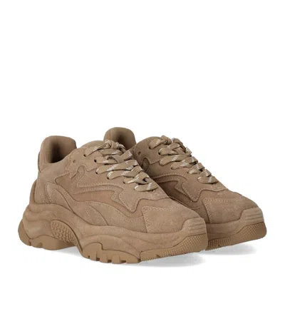 Ash Addict Sneakers In Beige Suede In Brown