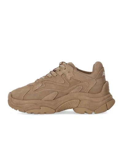 Ash Addict Sneakers In Beige Suede In Brown