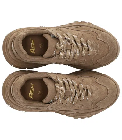 Ash Addict Sneakers In Beige Suede In Brown