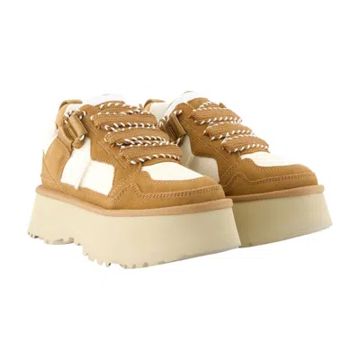 Ugg Astromel Sneakers In Brown