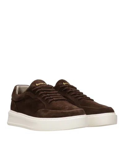 Barracuda Logo Sneakers In Brown