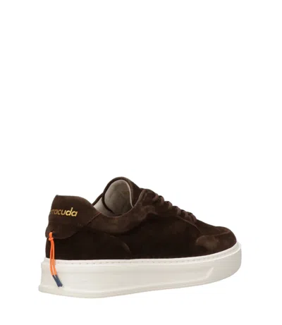 Barracuda Logo Sneakers In Brown