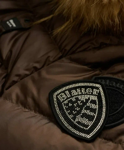 Blauer Arcadia In Brown