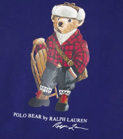 Polo Ralph Lauren Boys Polo Bear Fleece Hoodie In Blue