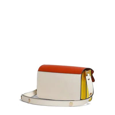 Marni Bag In Brown