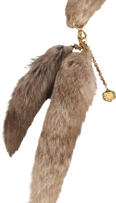 Chloé Fur Scarf In Brown