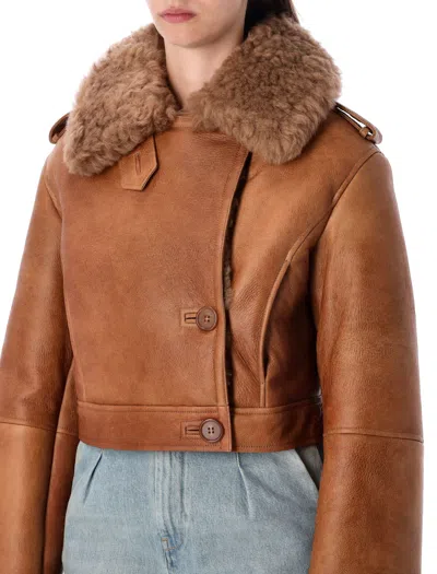 Chloé Boxy Jacket In Sheepskin And Shearling Women In Brown