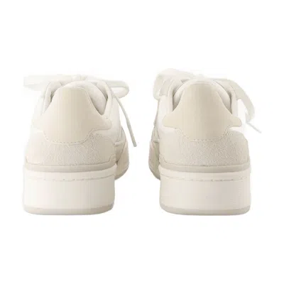 Axel Arigato Clay Sneakers In Neutral