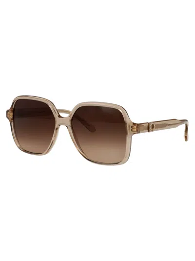 Ferragamo Transparent Beige Acetate Sunglasses In Brown