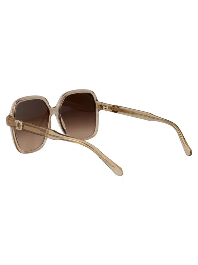 Ferragamo Transparent Beige Acetate Sunglasses In Brown