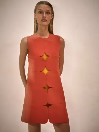 Alexis Winnie Dress In Brown